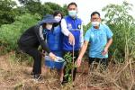 โครงการอนุรักษ์พันธุกรรมพืชอันเนื่องมาจากพระราชดำริฯ (อพ.สธ.